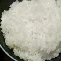 金菜花 小町香米 真空装 2.5kg (单位:袋)
