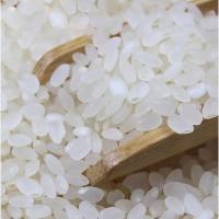 佳园央米 真空包装 小町大米 1kg (单位:袋)