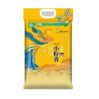 凤至 小粒香大米 真空包装 5kg (单位:袋)