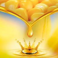 东北一颗农心 非转基因 物理压榨 玉米油 1.8L (单位:瓶)