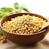 米妹妹（MIMEIMEI） 大豆油  1.8L/桶  （单位：桶）