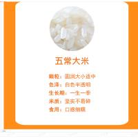 米妹妹（MIMEIMEI） 五常香米  真空包装 5kg （单位:袋）