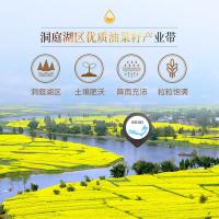 道道全 压榨一级 植物甾醇压榨菜籽油  5L （单位：桶）