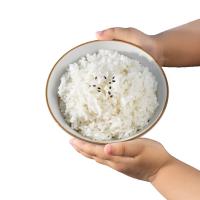 隆平芯米 美香丝苗大米 5kg 真空包装（单位：袋）