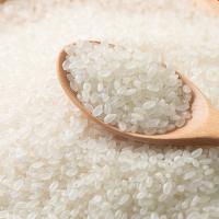 隆平芯米 辽河长粒香米 5kg 真空包装（单位：袋）