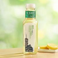 农夫山泉 东方树叶绿茶  500ml/瓶 15瓶/箱  （单位：箱）