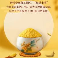 十月稻田（SHI YUE DAO TIAN）山西黄小米 2.5kg（单位：袋）真空包装 新老包装随机发货