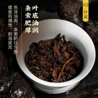 茶马世家 冰岛 普洱熟茶 500g(单位：盒)