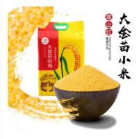 靠山红 大金苗 小米 2500g 真空包装 (单位:袋)