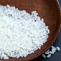 金稻典 东北长粒香大米 真空包装 5kg (单位:袋)