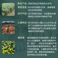 克莉娜（Calena） 特级初榨橄榄油 500ml*2 绿色（单位：盒）