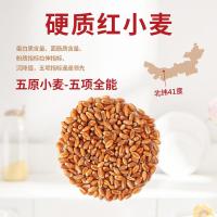 鑫乐 小麦粉 全麦粉 2.5kg (单位:袋)