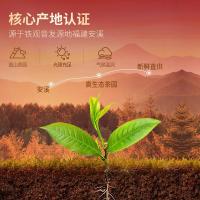 忆江南 福建铁观音清香型 皇品茶叶乌龙茶礼盒  300g (单位:盒) 红色 新老包装随机发货