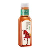 农夫山泉 东方树叶 红茶 500ml*15瓶（单位：箱）