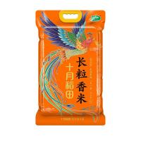 十月稻田（SHI YUE DAO TIAN） 凤凰呈祥 长粒香米 2.5kg （单位：袋） 真空包装