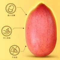 富昌 红皮 花生 500G 新旧包装随机发货 (单位:袋)