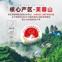 茶马世家 安化官茶 黑茶 600g 酒红（单位：盒）