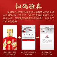 五粮液 富贵吉祥精致 白酒 500ml*2瓶 红色（单位：盒）