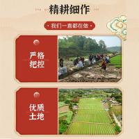惠田 粒粒香 乐山大米  5kg（单位:袋）真空包装