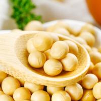 米妹妹（MIMEIMEI）一级大豆油500ml（单位:瓶）