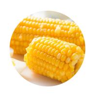米妹妹（MIMEIMEI） 五常 鲜玉米 8穗（单位：箱）