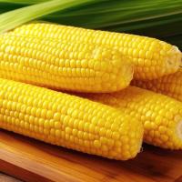米妹妹（MIMEIMEI） 五常 鲜玉米 8穗（单位：箱）