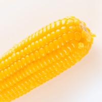 米妹妹（MIMEIMEI） 五常 鲜玉米 8穗（单位：箱）