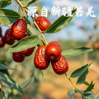 燕之坊 C06190020105 新疆灰枣红枣 果干零食500g（单位：袋）