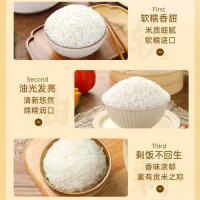 崔佳香 五常大米 大米 真空包装5kg 红色（单位：袋）