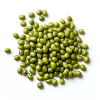木亩森 东北绿豆 2.5kg （单位:桶）