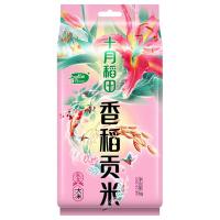 十月稻田（SHI YUE DAO TIAN）  香稻贡米  1kg  （单位：袋） 真空包装