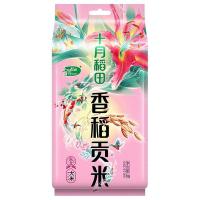 十月稻田（SHI YUE DAO TIAN）  香稻贡米  1kg  （单位：袋） 真空包装