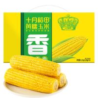 十月稻田（SHI YUE DAO TIAN） 鲜食玉米2.2kg （220g/根*10根）（单位：箱）新老包装随机