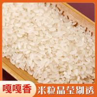 杜良 黄金晴大米 5kg(单位:袋)真空包装