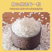 三人行 生态鲜香米 真空包装 粳米 10kg (单位:袋)
