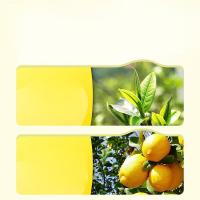 澜沧古茶 柠檬红茶  144克(12克x12)  (单位：盒 )