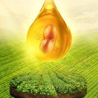 福临门 福至心礼花生油 一级压榨 5L (单位:桶)