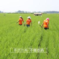 米妹妹（MIMEIMEI） 鲜香贡米 2.5kg（单位：袋）真空包装