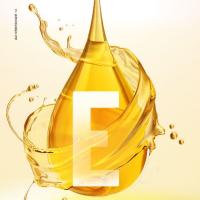 福临门 压榨一级 葵花籽油 5L （单位：桶）