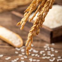 米妹妹（MIMEIMEI） 东北大米 5kg 真空包装（单位：盒）