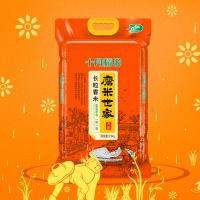 十月稻田 长粒香米 磨米世家 真空包装 2.5kg (单位:袋)