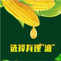 三河站 非转基因 一级 鲜胚玉米油 900ml 20瓶/箱 (单位:瓶)