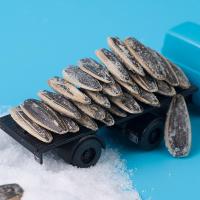 洽洽 海瓜子 海盐味 108g (单位:袋) 新老包装随机发货