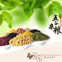 三河站 东北特产 袋装 黄小米 400g (单位:袋)
