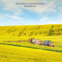 金龙鱼 菜籽油 非转基因 物理压榨 1.8L 6瓶/箱 (单位:瓶) 透明色