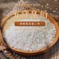 袁隆平 鲜米五常皇稻 东北大米 真空装 5kg (单位:袋)