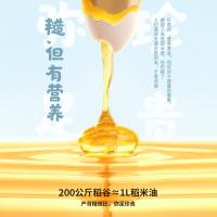 一江秋 稻米油 富含谷维素 5L (单位:桶)