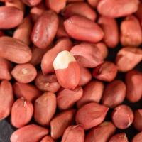 禾煜 有机红花生  800g  （单位：袋）