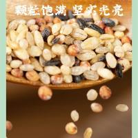 米妹妹（MIMEIMEI）招财纳福杂粮礼盒 800g(绿豆+黑米+大麦米+高梁米+粥米)（单位：盒）真空包装