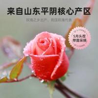 杞里香（Qi Li Xiang）玫瑰花茶 50g （单位：瓶）